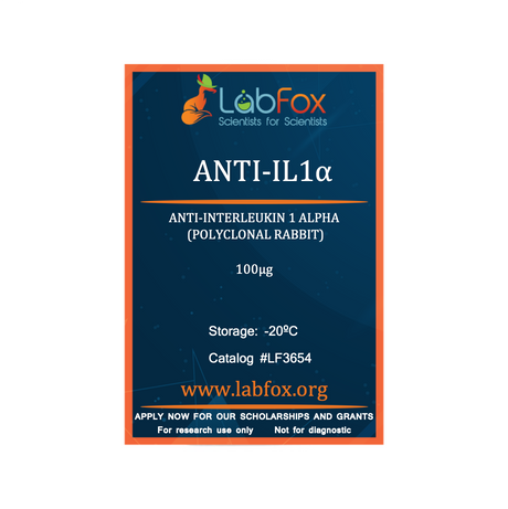Anti-IL-1α (polyclonal rabbit antibody)