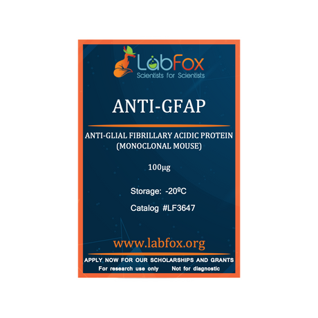 Anti-GFAP (monoclonal mouse antibody)